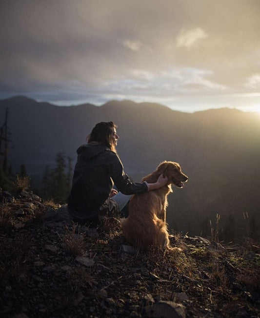 The Wooftreats Bucket List: Must-Do Activities for Every Dog