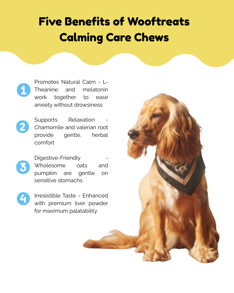 Oatmeal Calming Bites
