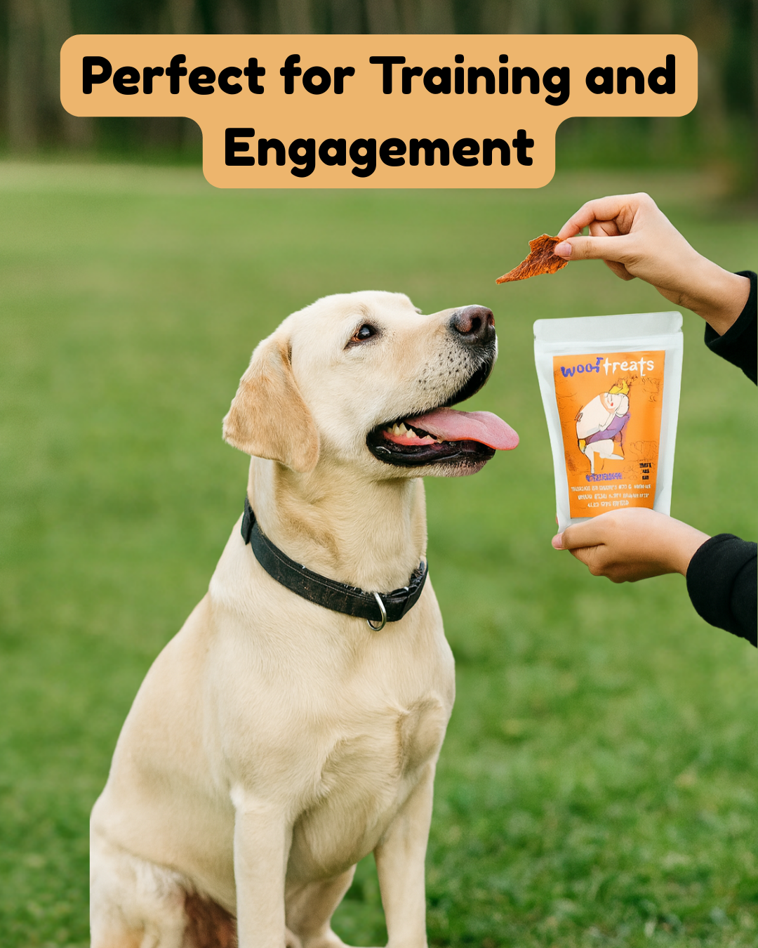 Wooftreats Fish Fillet Jerky for Dogs