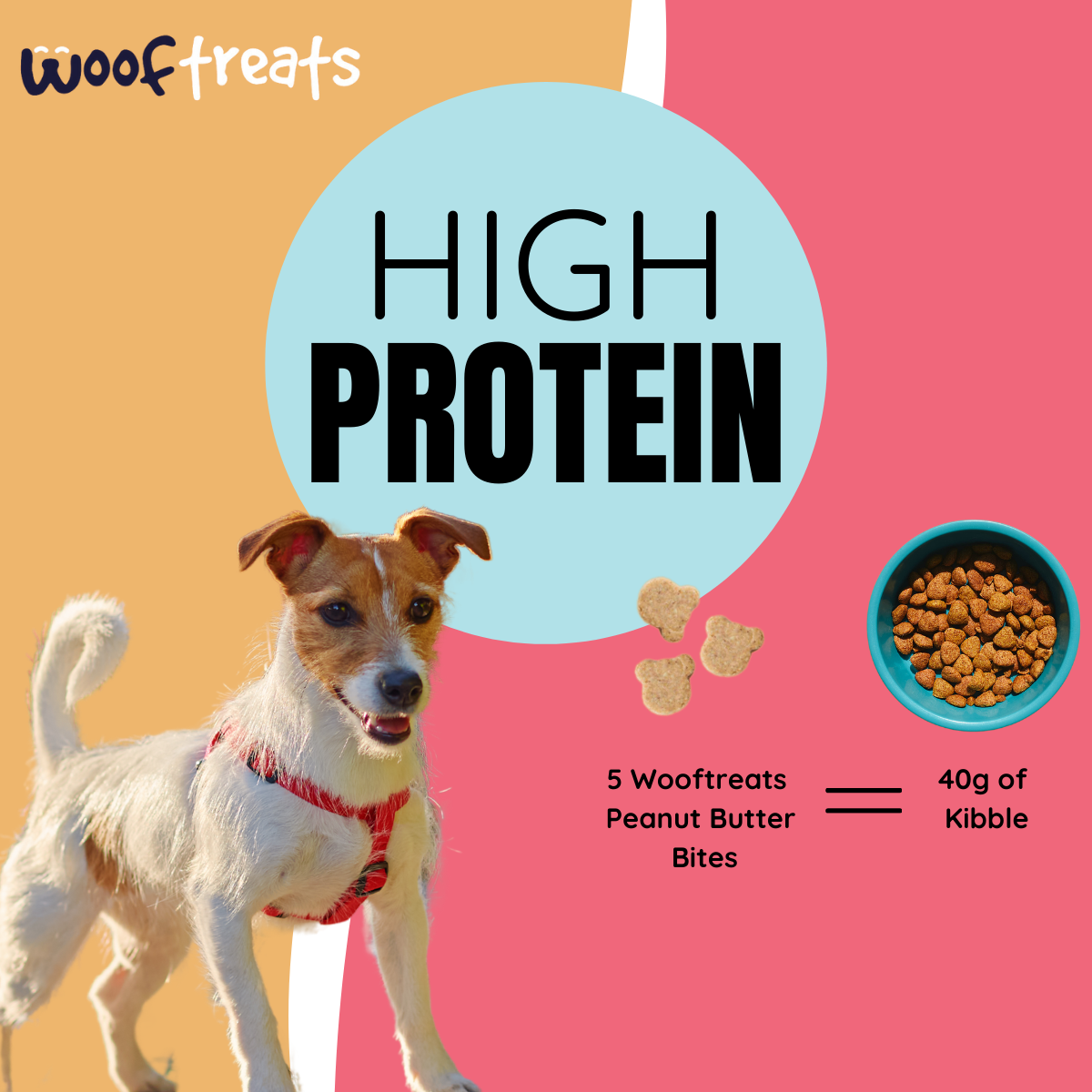 Veg Protein Combo - Peanut Butter - Peanut Butter Bites