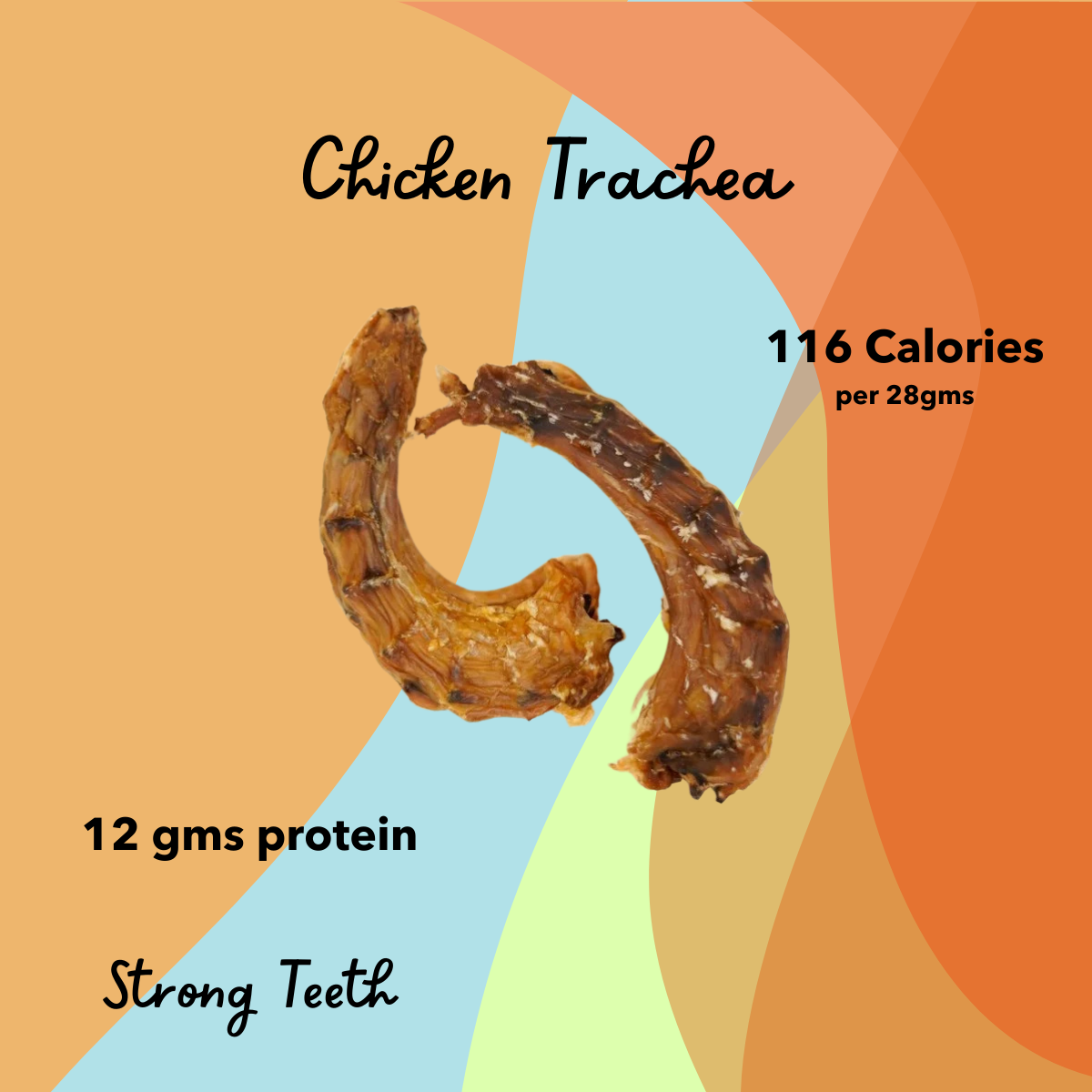 Chicken Trachea