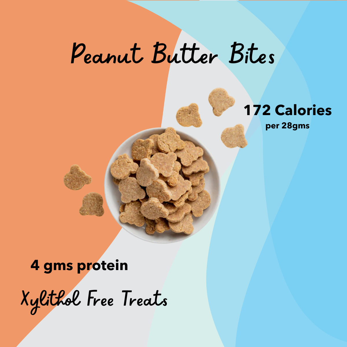 Veg Protein Combo - Peanut Butter - Peanut Butter Bites
