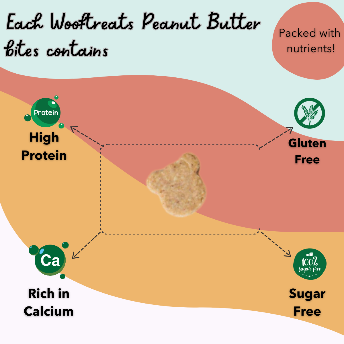 Veg Protein Combo - Peanut Butter - Peanut Butter Bites