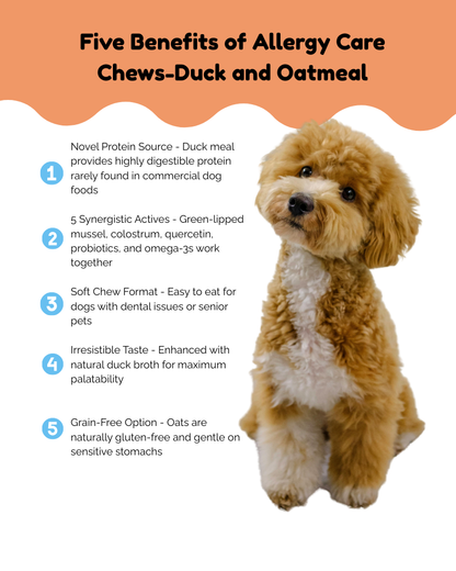 Duck & Oatmeal Hypoallergenic Soft Chews