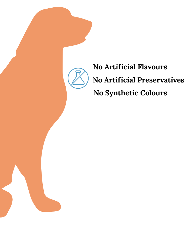 Duck & Oatmeal Hypoallergenic Soft Chews