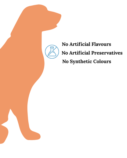Duck & Oatmeal Hypoallergenic Soft Chews